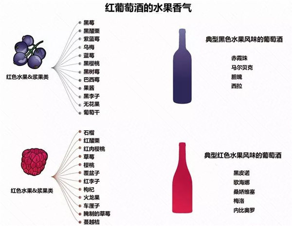 紅葡萄酒的香氣類(lèi)型