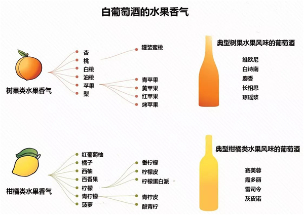 白葡萄酒的香氣類(lèi)型